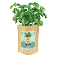 plant grow kit