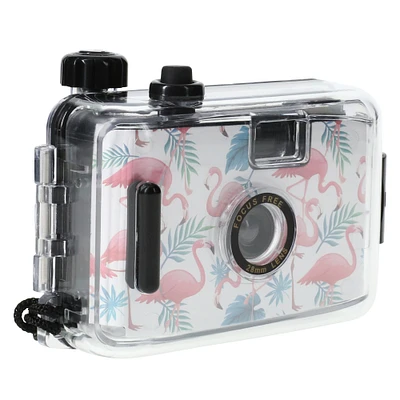 underwater disposable camera with color film