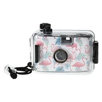 underwater disposable camera with color film