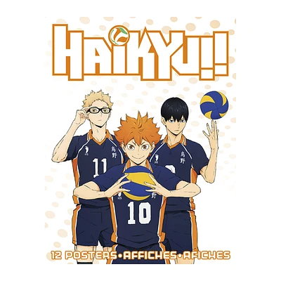 haikyu!! poster 22.375in x 34in