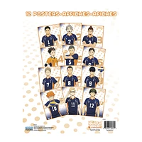 haikyu!! poster 22.375in x 34in