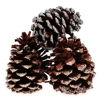 glittered pinecones 5-count