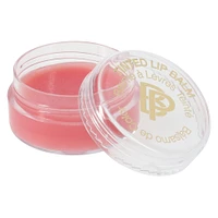 bella pierre® lip essentials velvet rose 4-piece kit