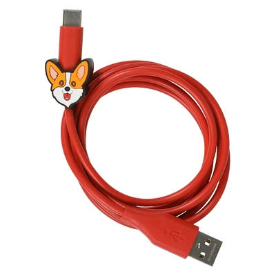 4ft USB Type-C cable with icon charm