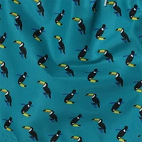 young men's teal toucan swim shorts