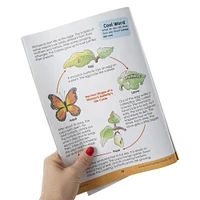 school zone® insects & spiders science workbook