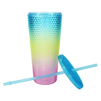 Rainbow Tumbler 24oz