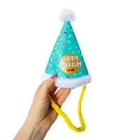 pet party hat headband