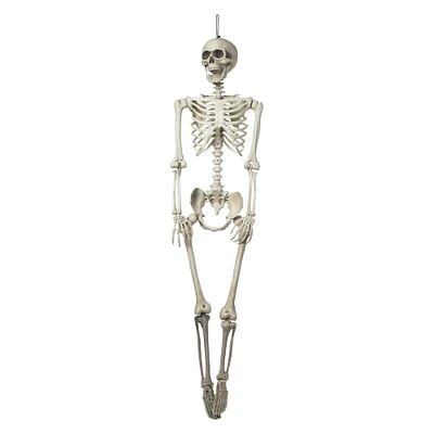 life-size skeleton decoration 5.5ft