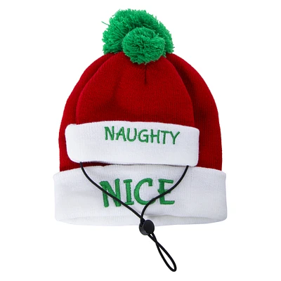 matching pet & owner christmas beanie hats set