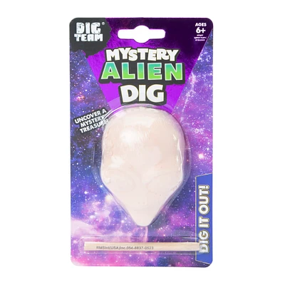 Dig Team® Mystery Kit