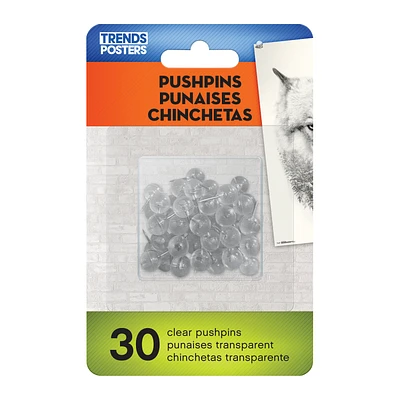 Clear Pushpins 30-Count