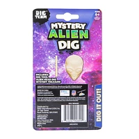 Dig Team® Mystery Kit