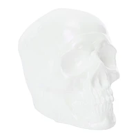 Iridescent Skull LED Lamp