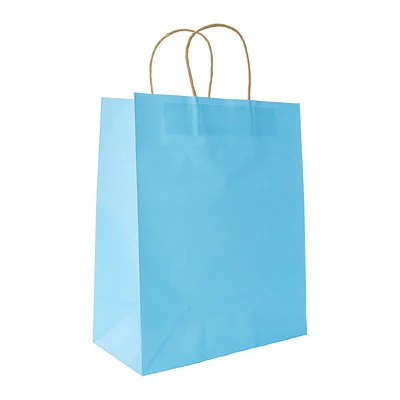 Recyclable Eco-Friendly Large Gift Bags 5-Count