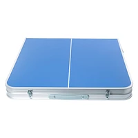 Junior Table Tennis Set With Foldable Table 48in