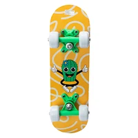 Trendy Printed Mini Skateboard 17in