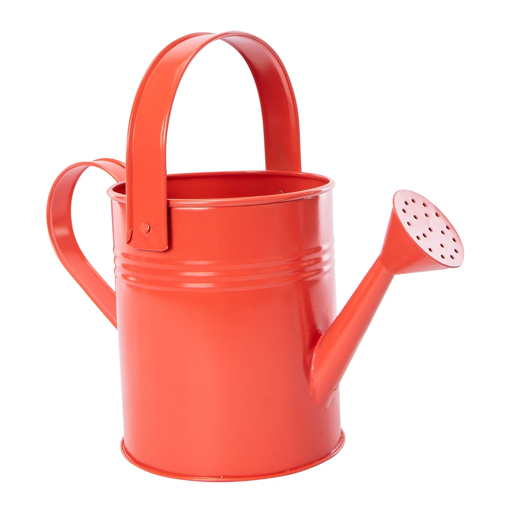 Metal Watering Can