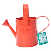 Metal Watering Can