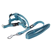 Dog Harness & Leash Set