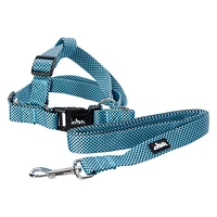 Dog Harness & Leash Set