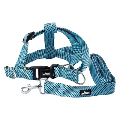 Dog Harness & Leash Set