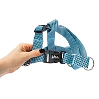 Dog Harness & Leash Set