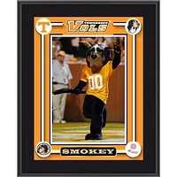 Tennessee Volunteers Smokey Mascot 10.5'' x 13'' Sublimated Plaque