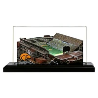 Southern Miss Golden Eagles 19" x 9" Light Up Stadium with Display Case