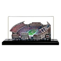 South Carolina Gamecocks 19" x 9" Light Up Stadium with Display Case