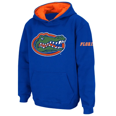 Youth Stadium Athletic Royal Florida Gators Big Logo Pullover Hoodie