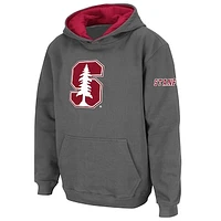 Youth Stadium Athletic Charcoal Stanford Cardinal Big Logo Pullover Hoodie
