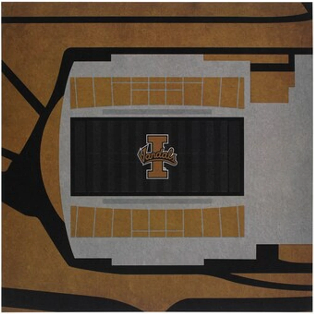 Idaho Vandals 12" x 12" Fine Art Aerial Field View