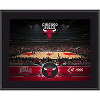 Chicago Bulls 10.5" x 13" Sublimated Team Plaque