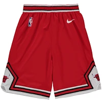 Preschool Nike Red Chicago Bulls Icon Replica Team Shorts