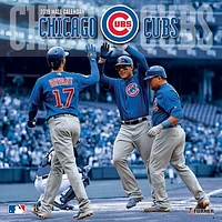 Chicago Cubs 2019 Mini Wall Calendar