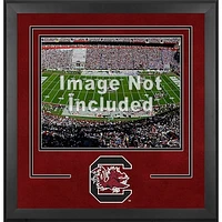 South Carolina Gamecocks Deluxe 16'' x 20'' Horizontal Photograph Frame with Team Logo