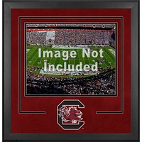 South Carolina Gamecocks Deluxe 16'' x 20'' Horizontal Photograph Frame with Team Logo