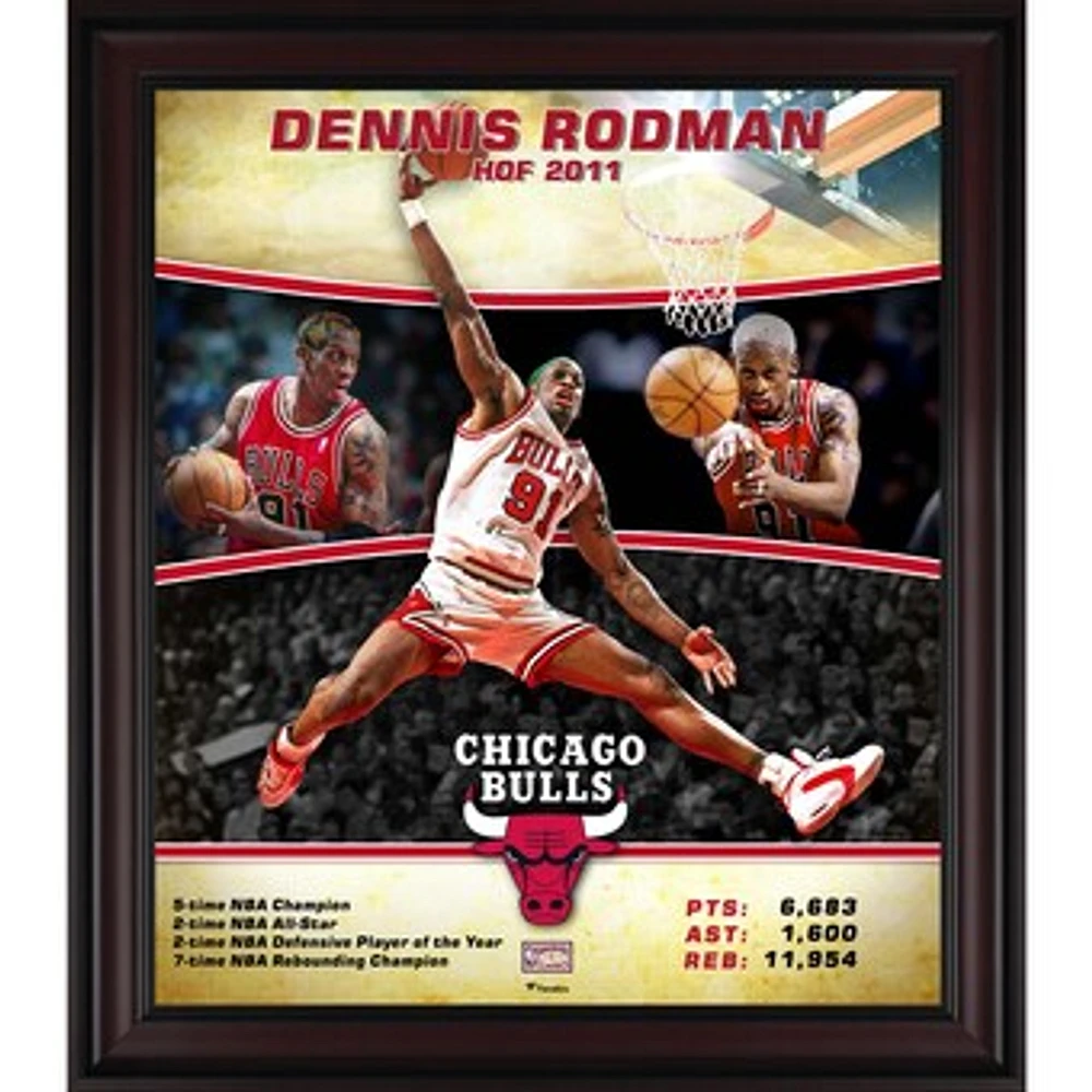 Dennis Rodman Chicago Bulls Framed 15" x 17" Hardwood Classics Player Collage