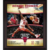 Dennis Rodman Chicago Bulls Framed 15" x 17" Hardwood Classics Player Collage