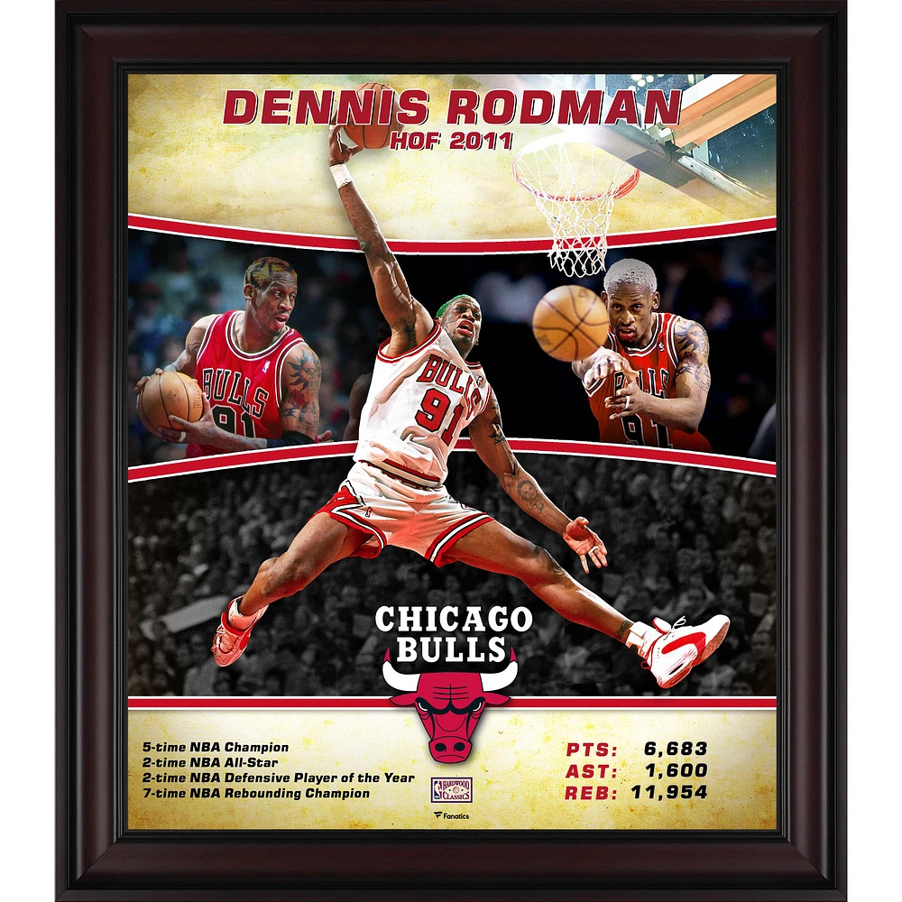 Dennis Rodman Chicago Bulls Framed 15" x 17" Hardwood Classics Player Collage