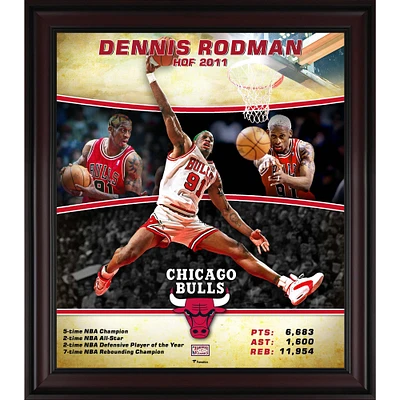 Dennis Rodman Chicago Bulls Framed 15" x 17" Hardwood Classics Player Collage