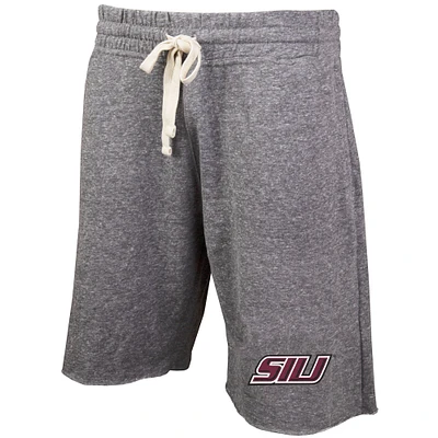 Men's Concepts Sport Gray Southern Illinois Salukis Mainstream Terry Shorts