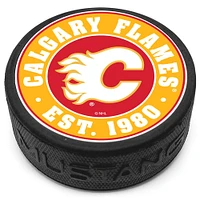 Calgary Flames Domed Team Established Puck