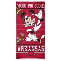 WinCraft Arkansas Razorbacks 30'' x 60'' Disney Spectra Beach Towel