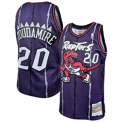 Men's Mitchell & Ness Damon Stoudamire Purple Toronto Raptors 1995/96 Hardwood Classics Swingman Jersey