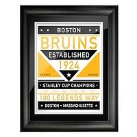 Boston Bruins 12'' x 16'' Team Dual Tone Framed Artwork