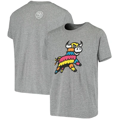 Youth Heathered Gray Piñatas de Erie Copa la Diversion Vintage T-Shirt