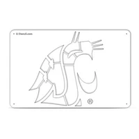 Washington State Cougars Tailgater Stencil