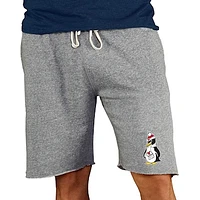 Men's Concepts Sport Gray Youngstown State Penguins Mainstream Terry Shorts